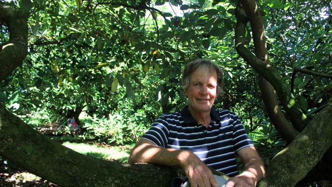 Dave Guy-Taylor on his Tanners Point Rd property, Flame Lily Orchard. Photo / Debbie Griffiths