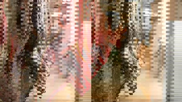 Photo / File