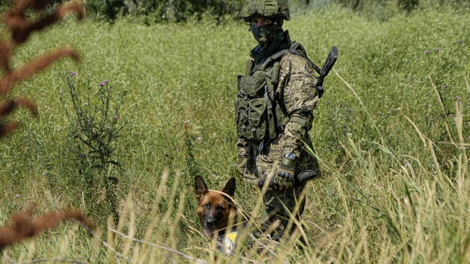 A Russian mine clearing expert with a dog works to find and defuse mines along the high voltage line in Mariupol. Photo / AP