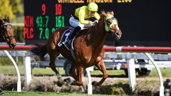 Drop of Something winning the Savabeel 2100 (2100m) at Te Rapa on Saturday. Photo / Kenton Wright, Race Images