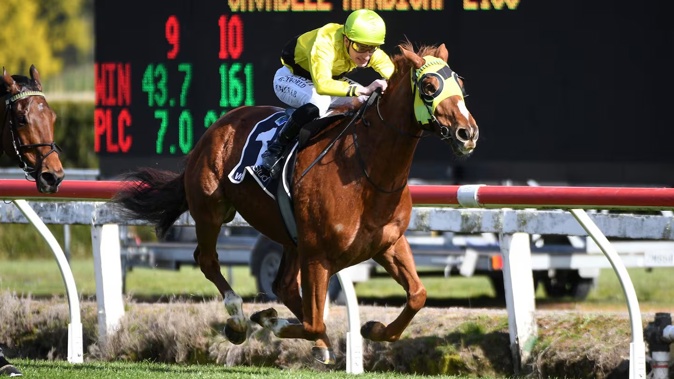 Drop of Something winning the Savabeel 2100 (2100m) at Te Rapa on Saturday. Photo / Kenton Wright, Race Images