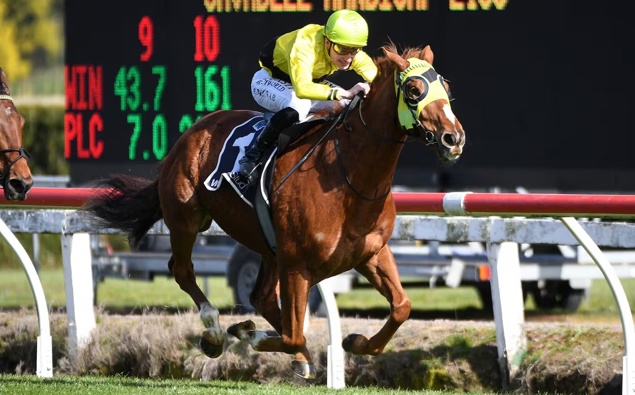 Drop of Something wins thrilling Te Rapa race with McNab’s ride