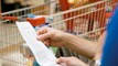 Inflation falls to lowest rate since June 2021 - annual rate now 4 per cent