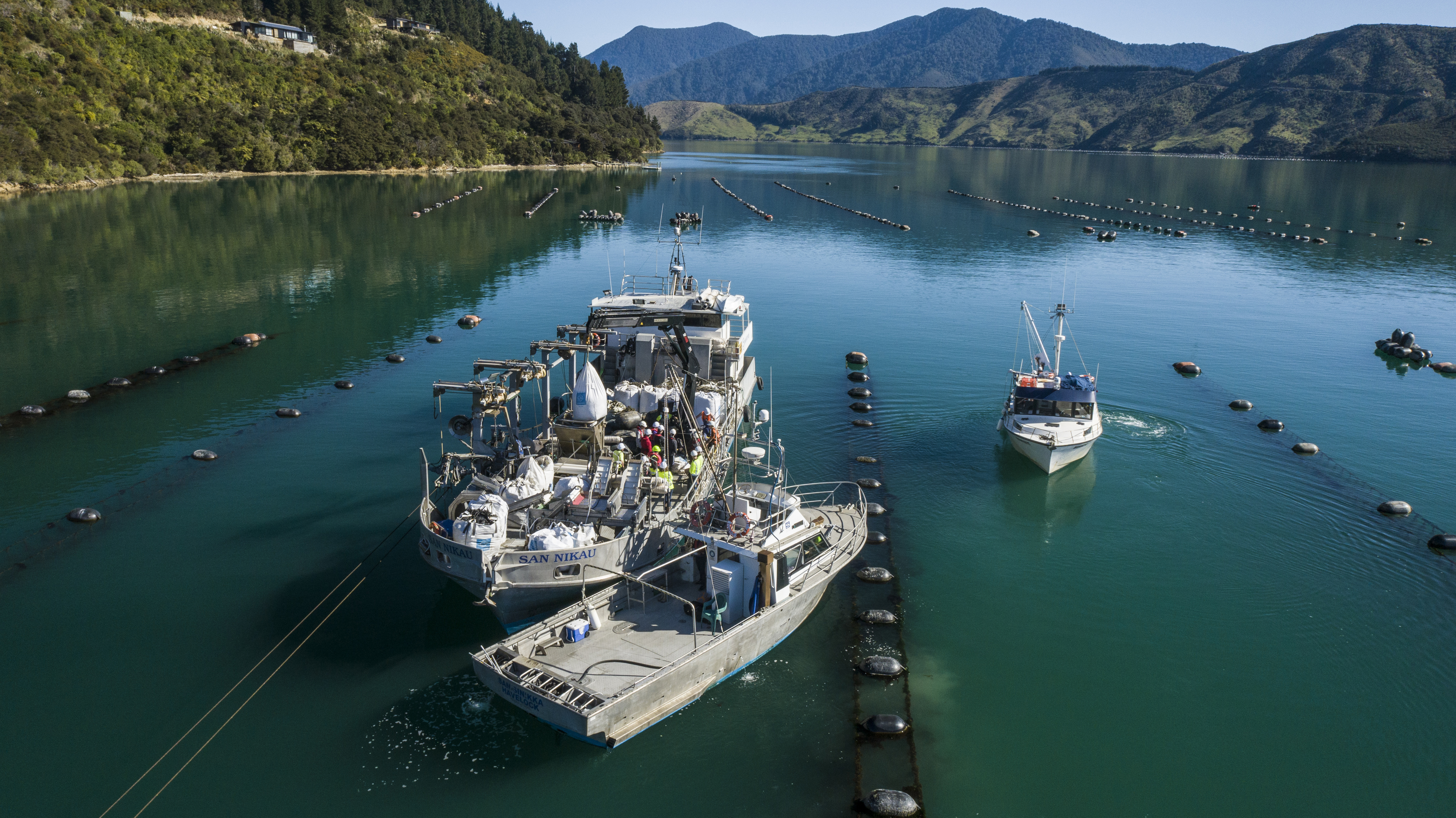 Sanford has posted a record annual result. Photo / File