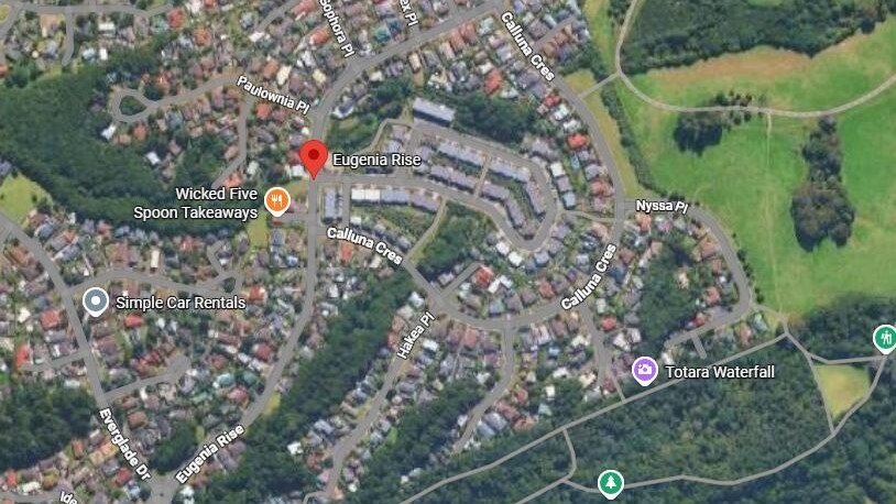 Person dies in hospital two days after South Auckland crash where vehicle hit tree and flipped