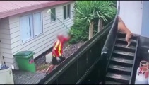 Watch: NZ Post courier lashes out at dog while delivering package