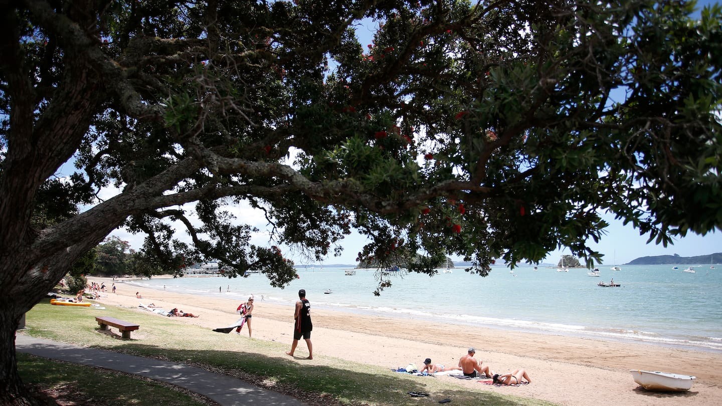 Photo / Michael Cunningham