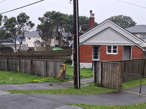 A 51-year-old woman was arrested at a Kipling St address in Johnsonville after an incident involving acid in the early hours of April 30. Photo / Melissa Nightingale