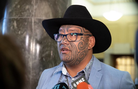 Te Pāti Māori co-leader Rawiri Waititi. (Photo / NZ Herald)