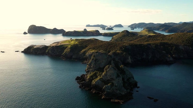 Police have confirmed one of the two children trapped in a collapsed sand dune on Great Barrier Island has died in hospital. Photo / RNZ