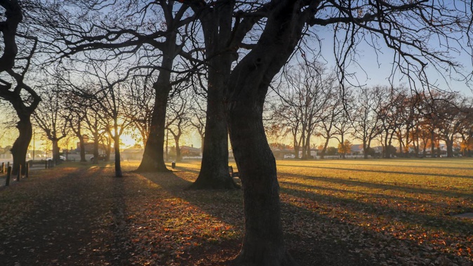 Hastings Police have arrested a man in relation to a serious assault in Cornwall Park on Saturday afternoon that left a man with facial injuries. Photo / NZME