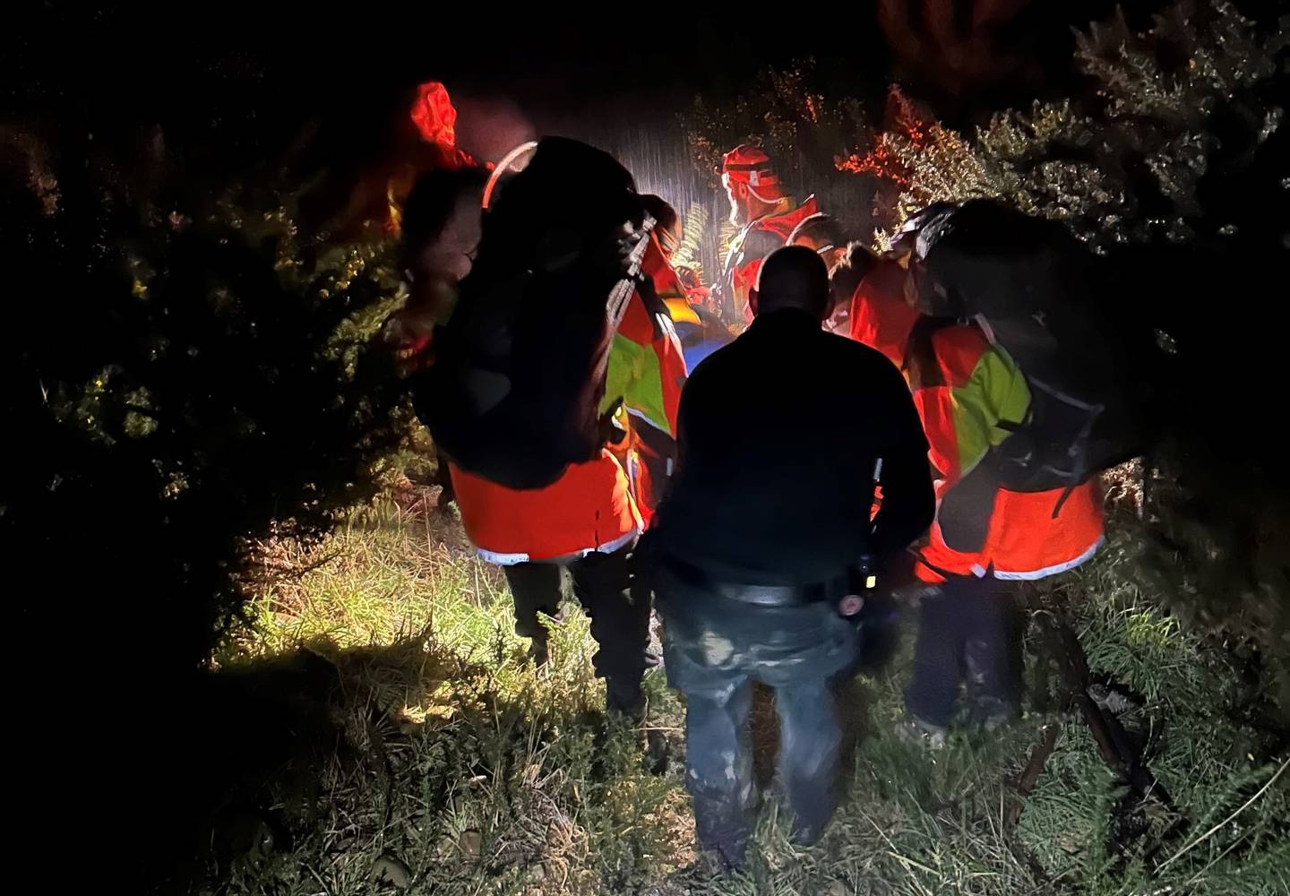Search and Rescue team members carry out an operation in Ashley Forest. Photo / NZ Police