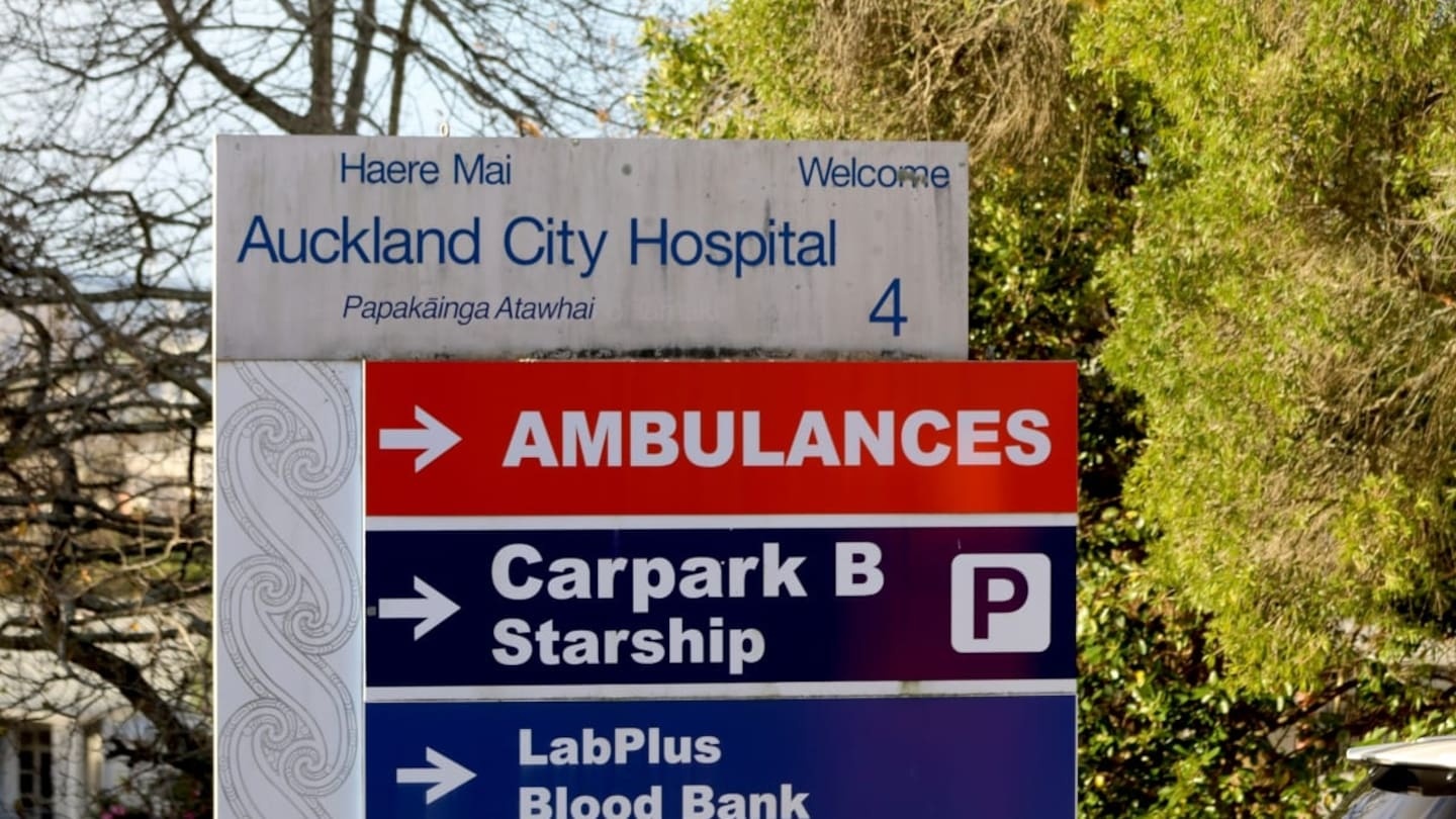 Health NZ staff face second email address change within months