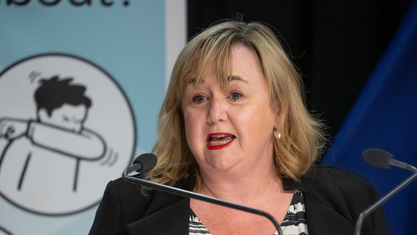 Megan Woods: owners of long-term rentals will get the tax breaks back. Photo / Mark Mitchell