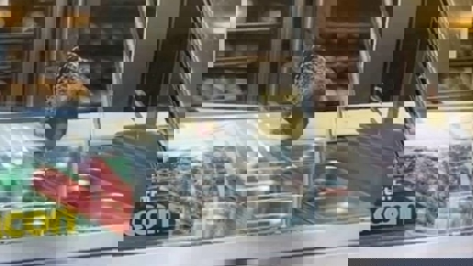 A pigeon has been caught dining out on fresh Subway ingredients behind the counter of a Central Auckland restaurant chain. Photo / TikTok / @ppdac