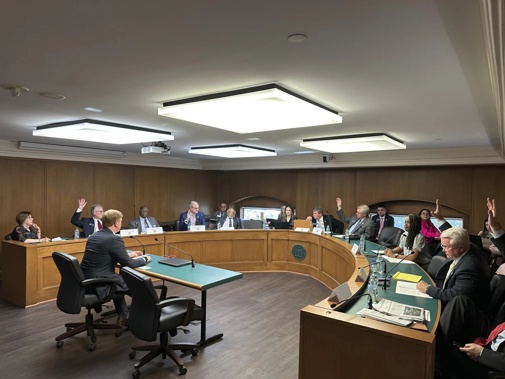 Republican Georgia state senators vote for a bill that would cut off public funding of transgender care. Photo / AP / Jeff Amy