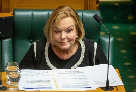 (Photo / NZ Herald)