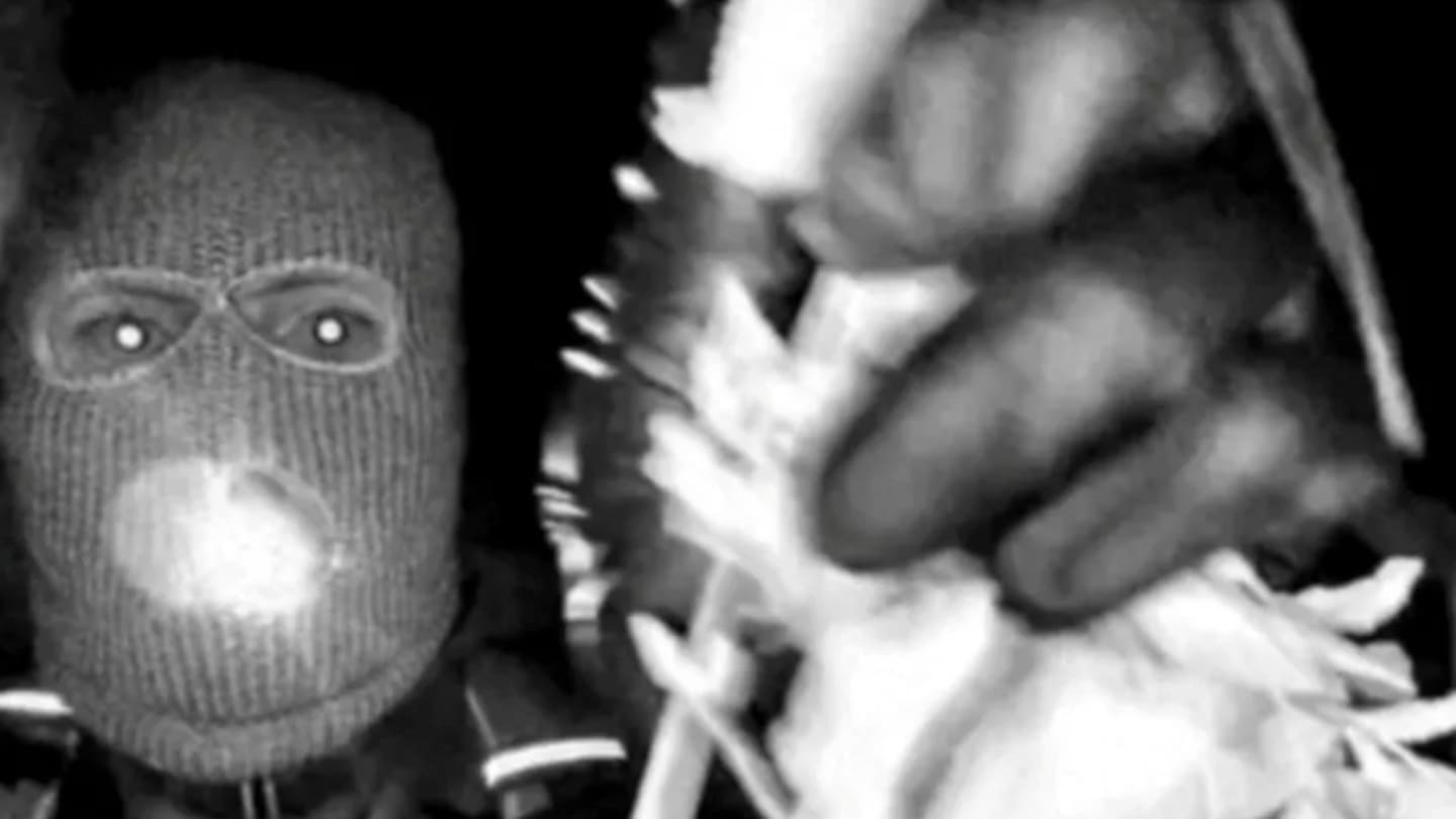 New DNA clue: Glove may match suspected kidnapper in Guthrie case