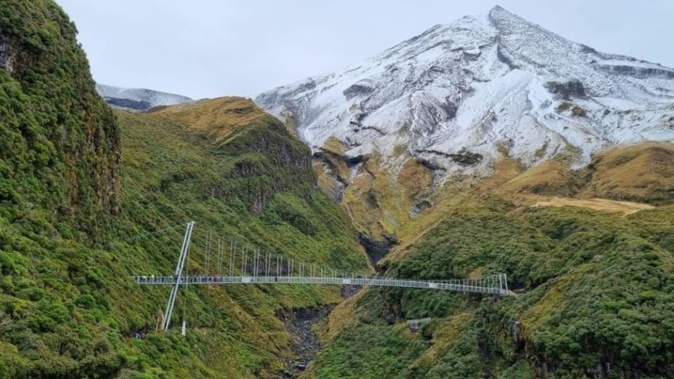 Manganui Gorge Bridge. Photo / RNZ