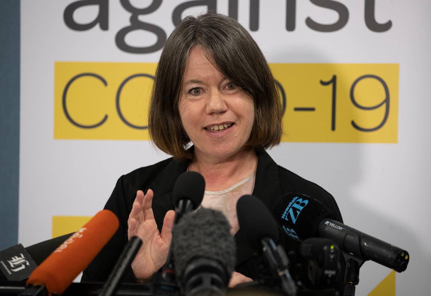 Dr Caroline McElnay has resigned as director of public health. (Photo / Mark Mitchell)