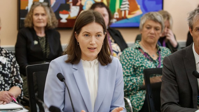 Internal Affairs Minister Brooke van Velden. Photo / Mark Mitchell