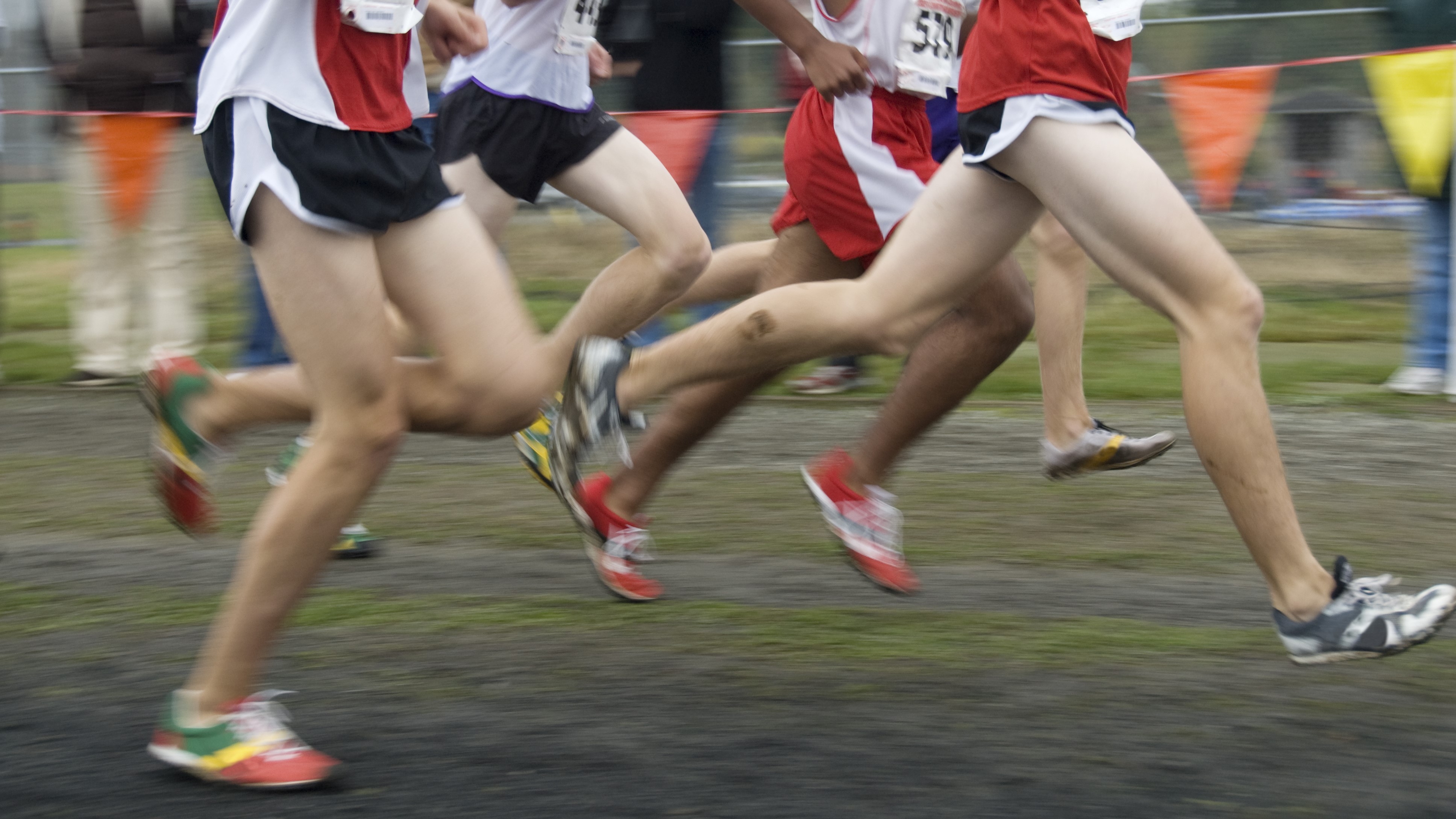 "A real grind": NZ Cross Country Championships hit Christchurch 