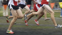 "A real grind": NZ Cross Country Championships hit Christchurch