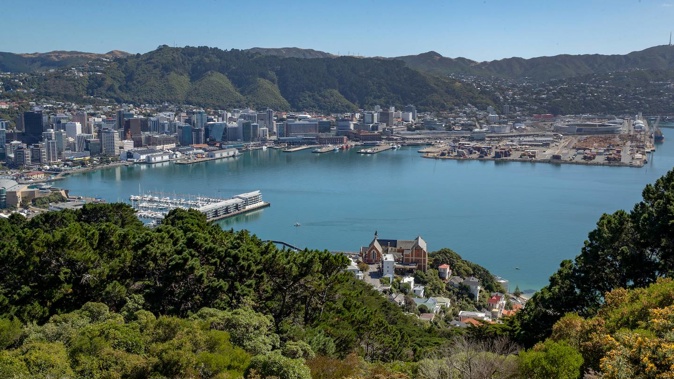 The woman breached alert level restrictions by travelling to Wellington with a 41-year-old man. (Photo / Mark Mitchell)