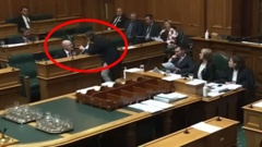 Green Party MP Julie Anne Genter confronts Matthew Doocey in Parliament. Photo / Supplied