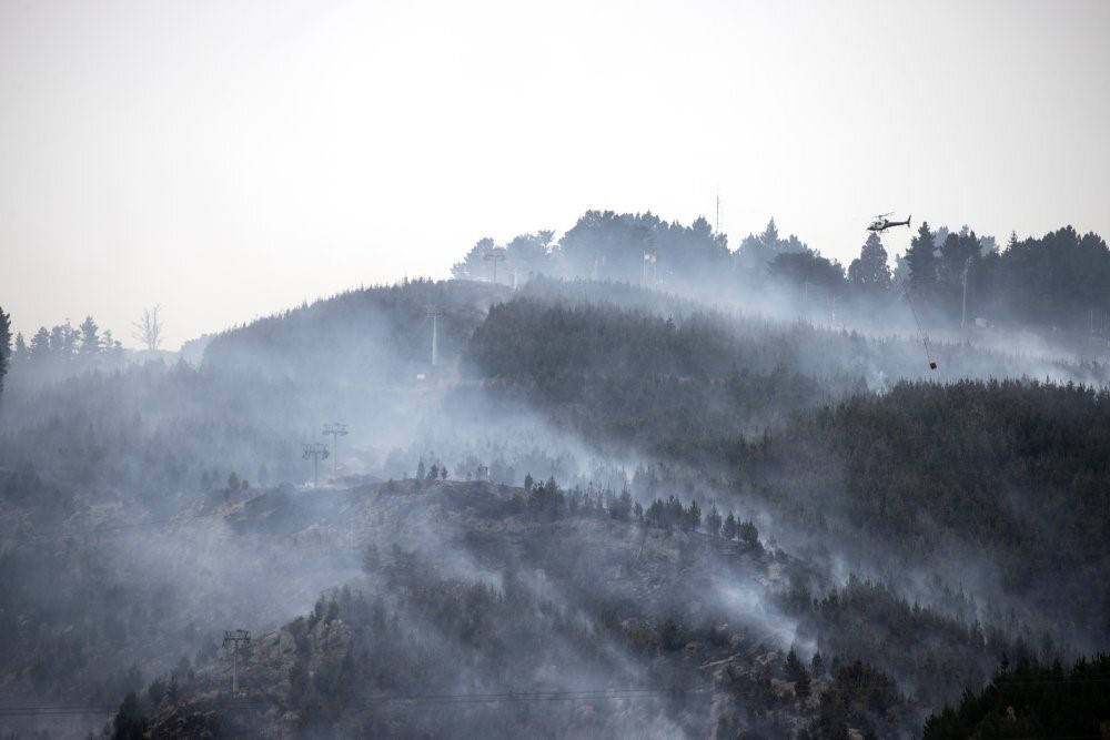 Photo / George Heard