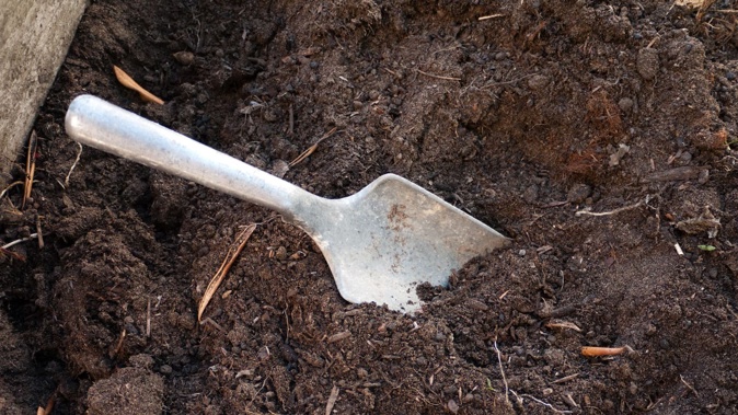 Bagged potting mix and compost can contain Legionella bacteria which can cause Legionnaires’ disease - a type of pneumonia.