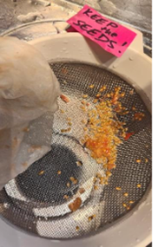 D:\My Docs\Radio\Jack Tame Saturdays\pics\Gardeners Delight seeds retrievedJT 20250318192328.jpg