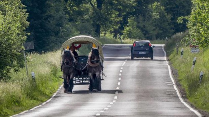 Horse farmer Stephanie Kirchner steers her coach on a road close to her hometown Schupbach near Limburg, Germany. Photo / AP