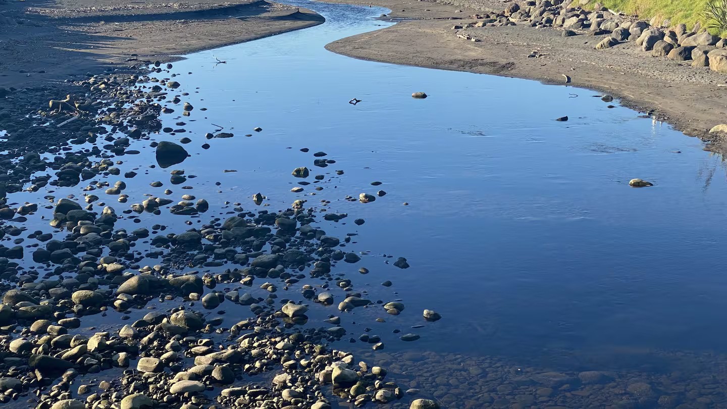 Landmark court case over Māori rights to freshwater begins: What's going on?