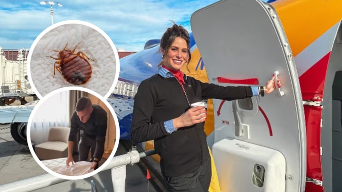 US flight attendant Hannah Hudson Kimmel revealed in a TikTok video how she keeps an eye out for bed bugs in hotels while travelling. Photos / @hankimmel, @cabincrew_han, file