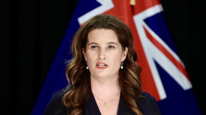 Finance Minister Nicola Willis will offer a Budget briefing. Photo / Mark Mitchell