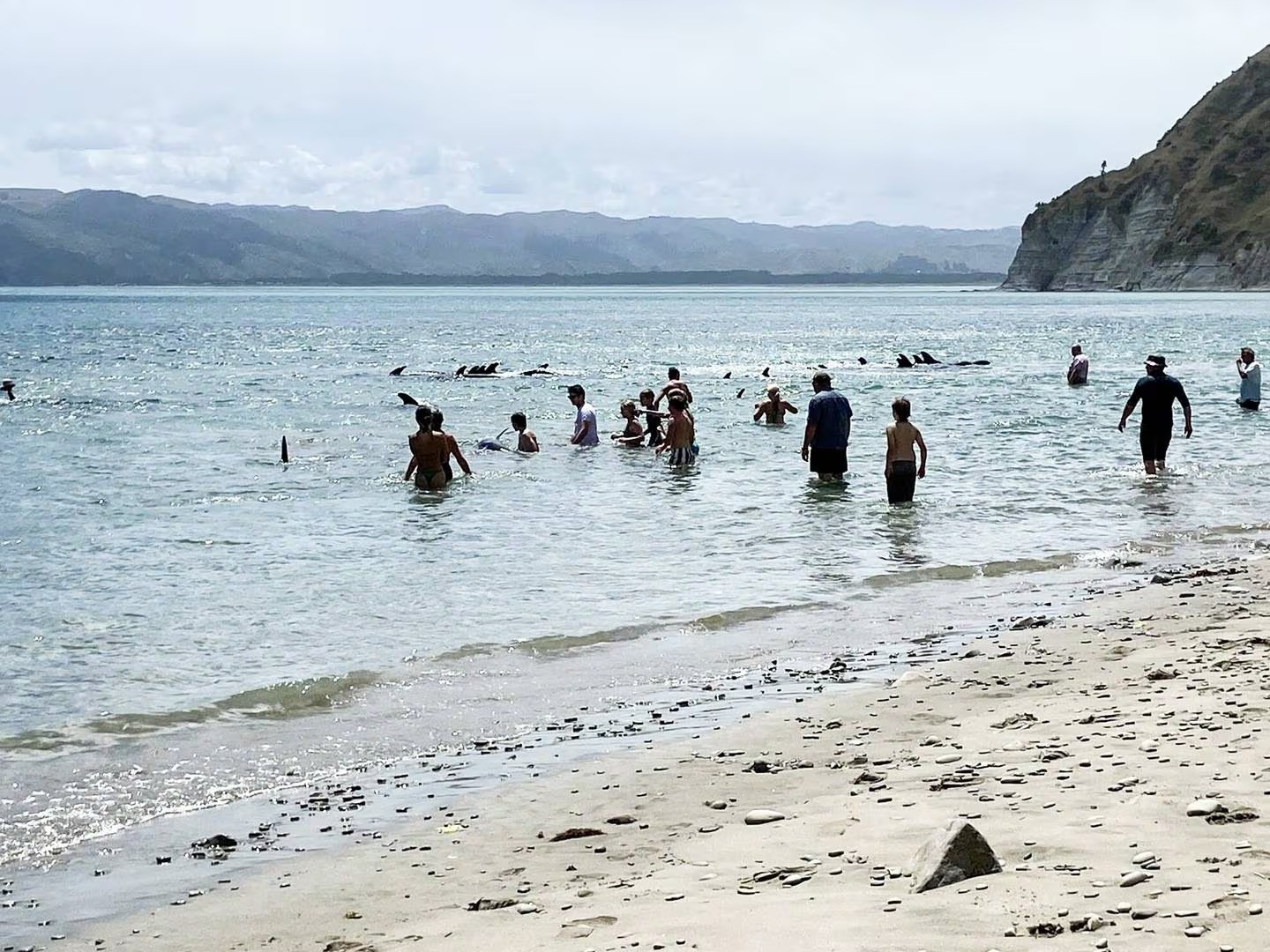 People wade into the water at Taylor's Bay in Mahia. Photo / Tiria Tomoana