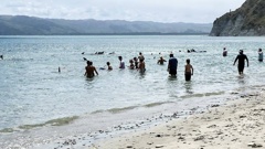 People wade into the water at Taylor's Bay in Mahia. Photo / Tiria Tomoana