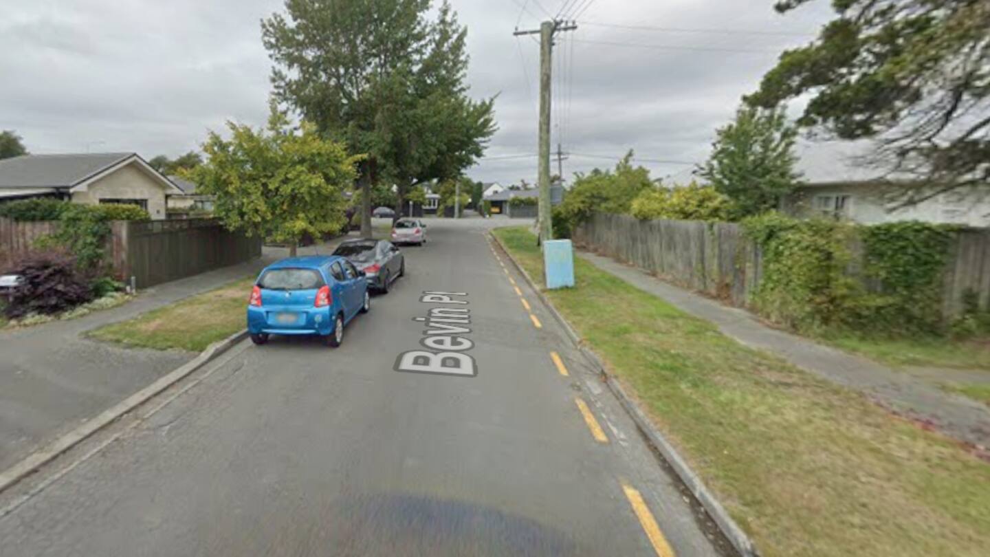 Woman to appear in court after Christchurch dog attack