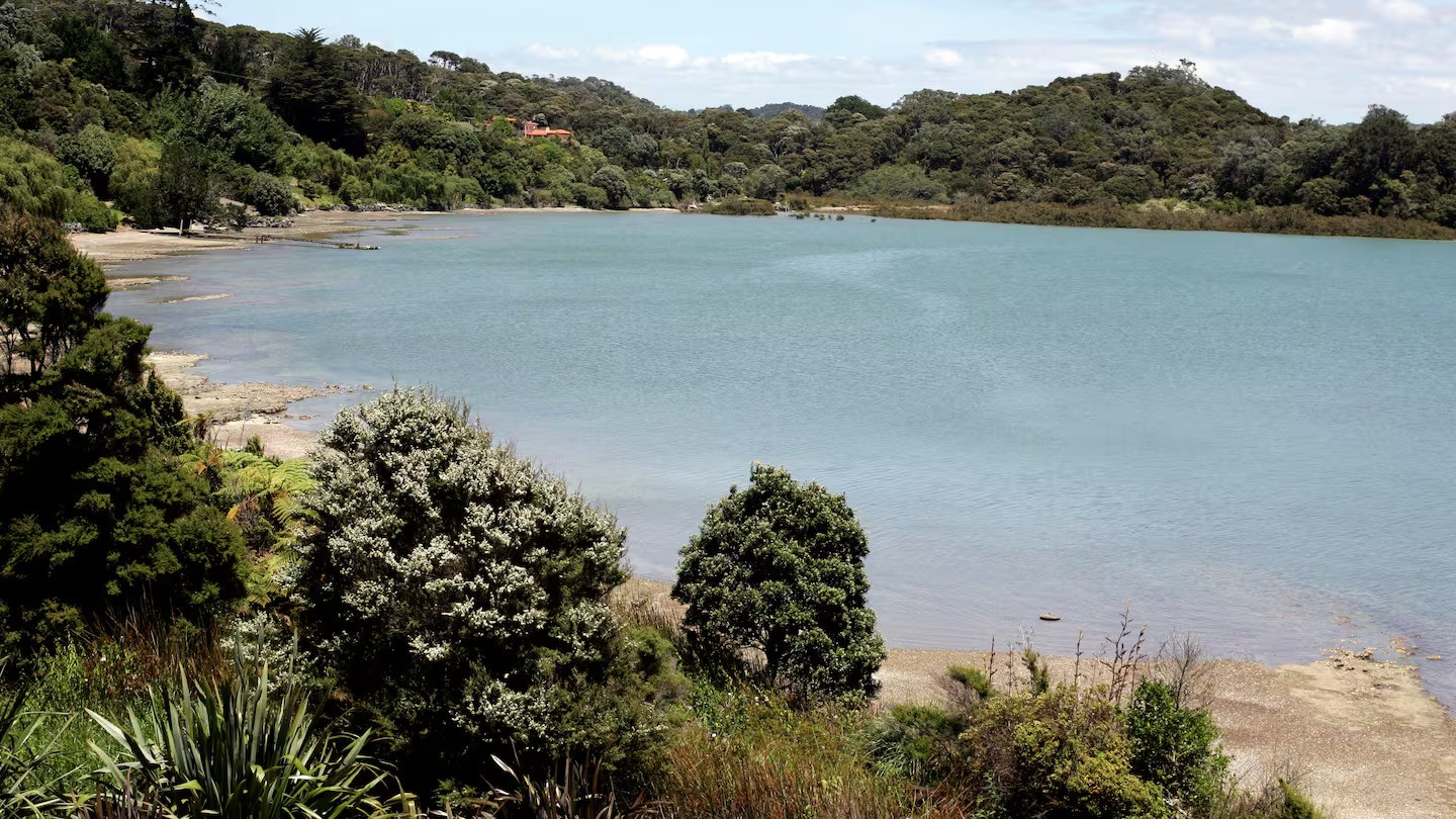 Auckland's water authority Watercare says the overflow was caused by a "unique chain of events". Photo / NZME