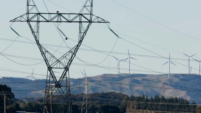 Photo / Mark Mitchell