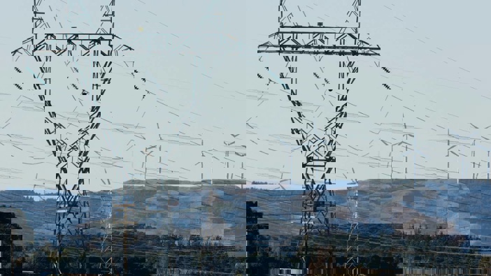 Photo / Mark Mitchell