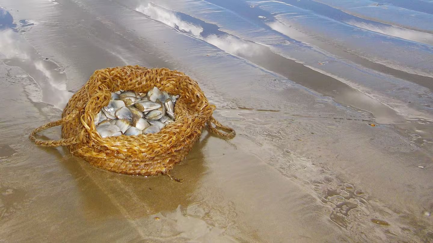 Calls to revisit fishing limits as Northland community touts kaimoana boom