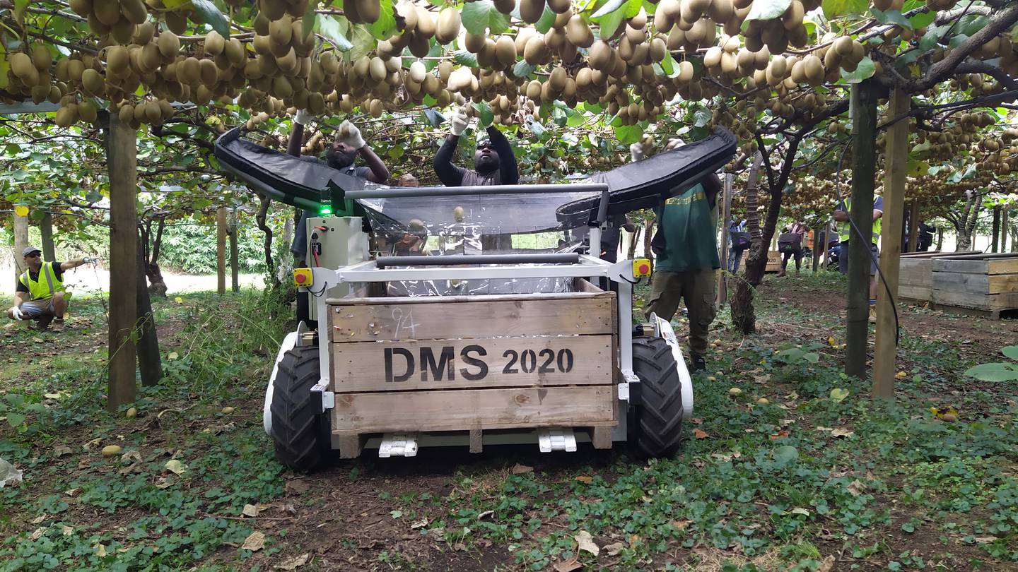 The University of Waikato has developed an e-Bin that will assist in the harvesting of kiwifruit. Photo / Supplied