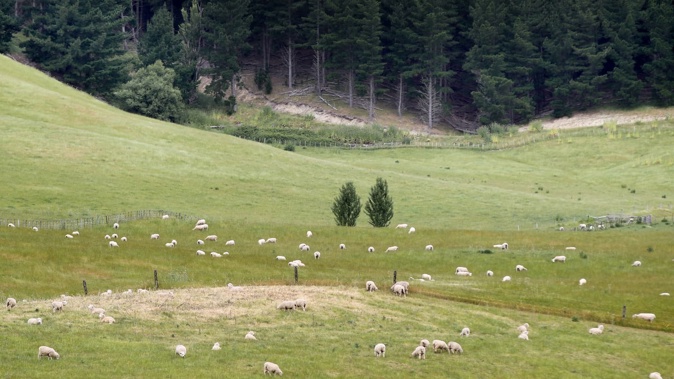 One man died at a friend's farm after the rest home he was at would not allow assisted dying on the property. Photo / File.