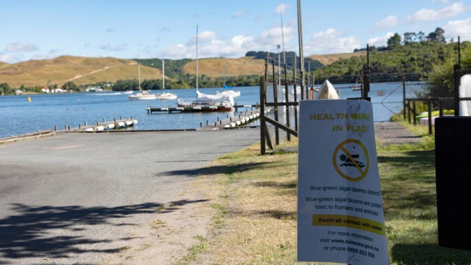A public health warning against swimming in Okawa Bay, Lake Rotoiti, pictured last year. Photo / Andrew Warner.