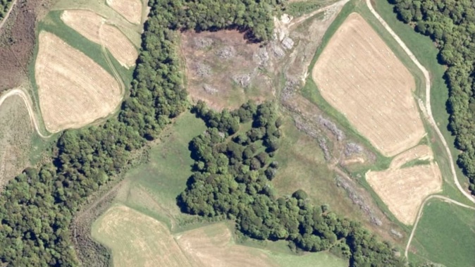 Investigations found around 10 hectares of native bush was felled from two properties in the Shenandoah Highway between 2016 and 2023. Photo / Supplied, Tasman District Council