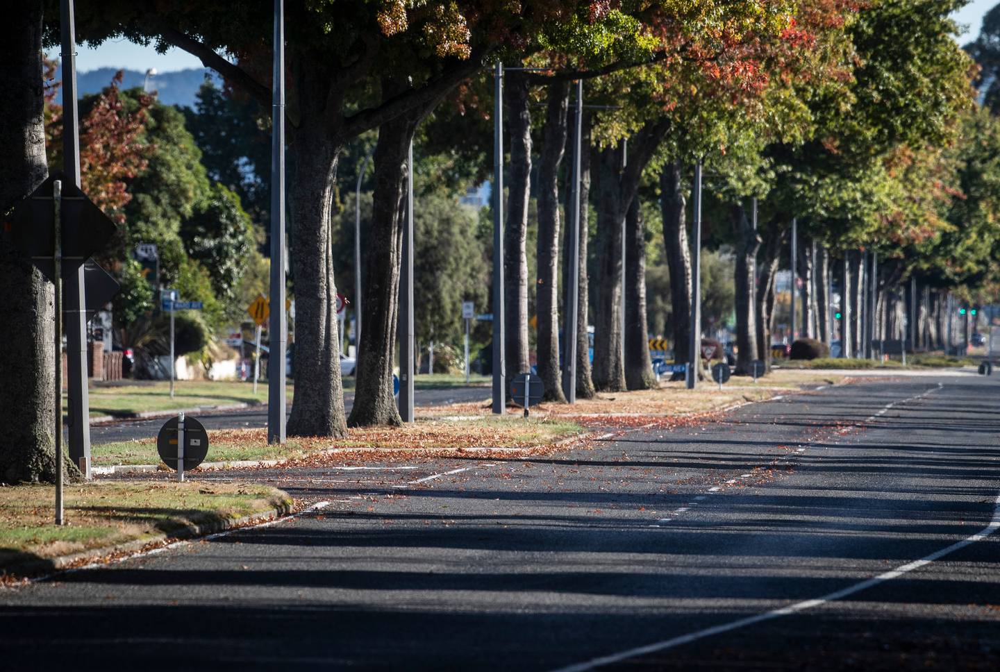 Thirteen emergency housing motels in Rotorua are subject to resource consent applications. Photo / Stephen Parker
