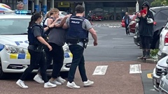 The man was arrested after the incident at LynnMall in Auckland. Photo / Supplied