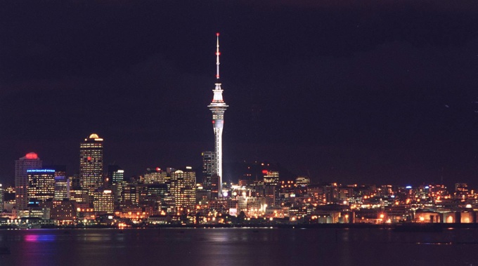  Light pollution in Auckland has been causing harm to species like seabirds. Photo / Mark Mitchell